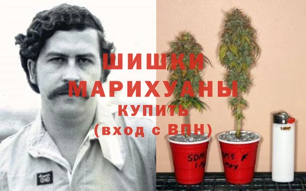 молекула духа Иннополис