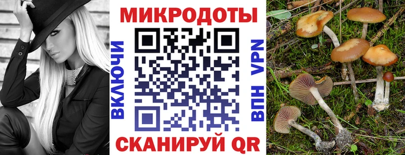 Купить  Зима  Псилоцибиновые грибы Magic Shrooms 