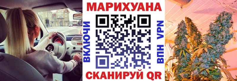 Бошки марихуана гибрид Зима