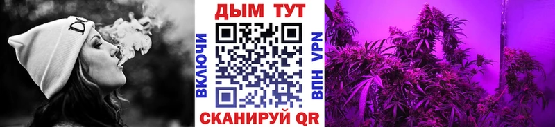 Купить закладки  Зима  Канабис SATIVA & INDICA 